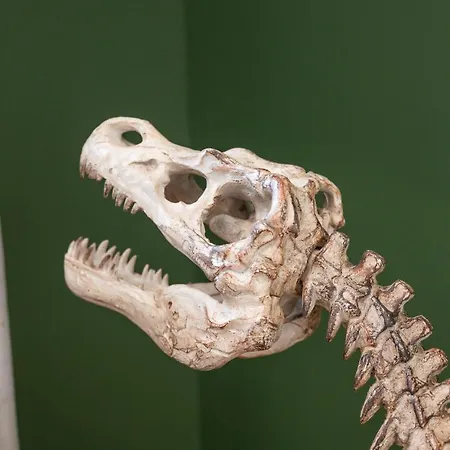 Hotel Restaurant Le Fiacre A Quend Plage 3* Quend